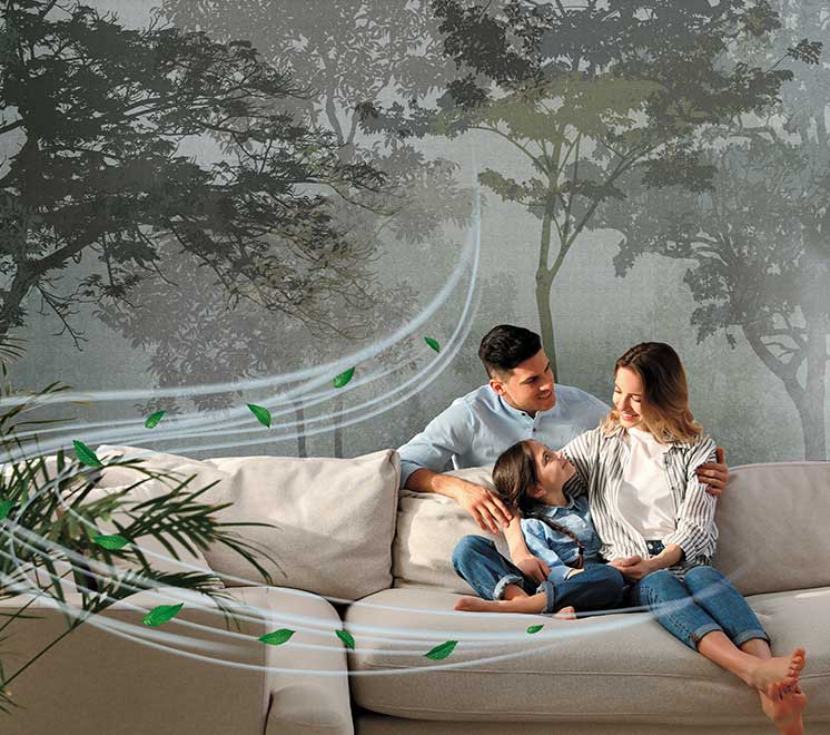soluzioni decorative green e purificanti